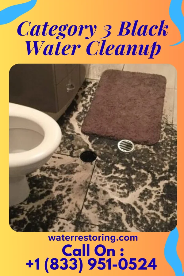 Category 3 Black Water Cleanup in Trempealeau, WI