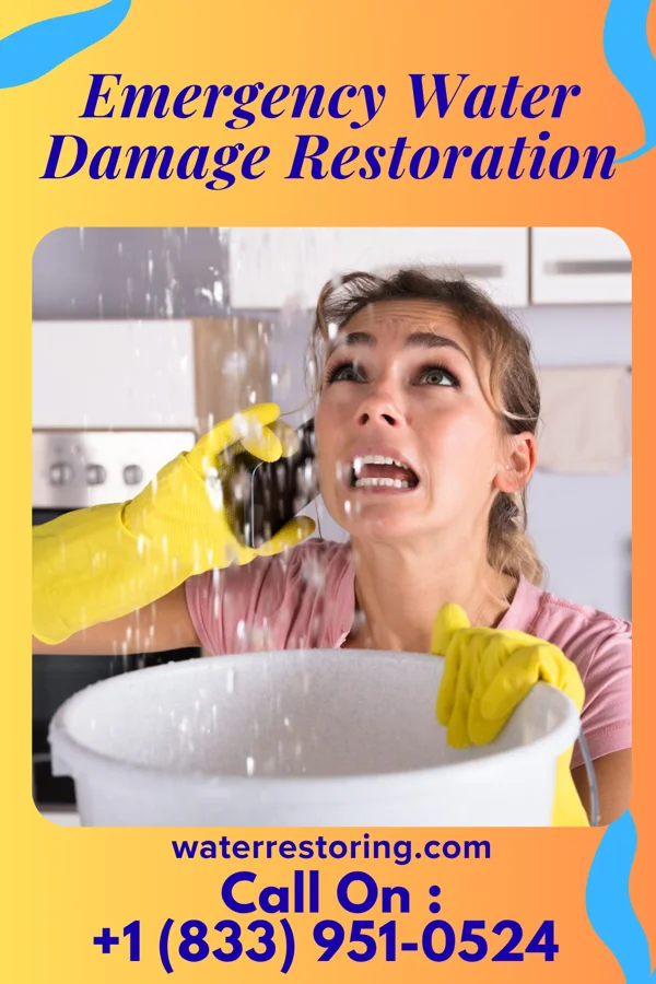 Emergency Water Damage Restoration in Trempealeau, WI